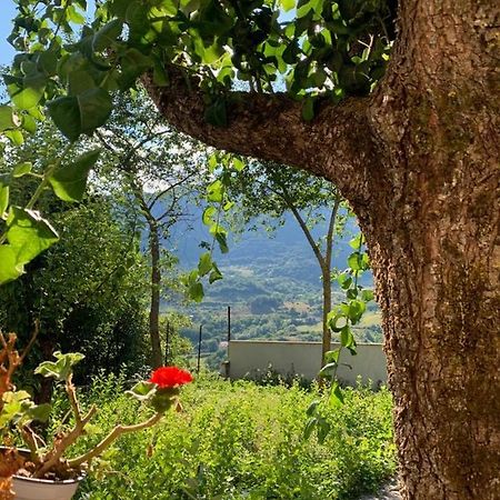 B&B Al San Francesco Castel Di Sangro Exteriör bild